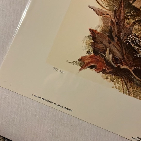 🖼️ 🐶 🖼️• 💎 AMY BRACKENBURY x 🐸 “Toadally” Vibes - Picture 5 of 16